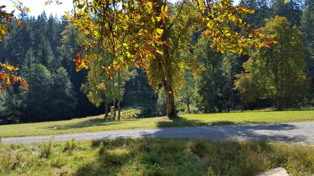 Ferienwohnung Wildbad Sued Bad Wildbad Zewnętrze zdjęcie