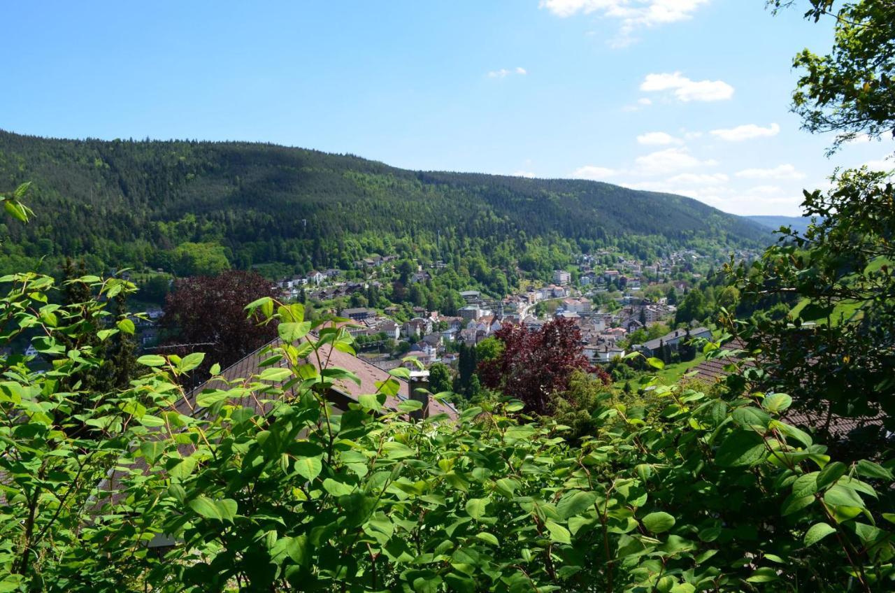 Ferienwohnung Wildbad Sued Bad Wildbad Zewnętrze zdjęcie