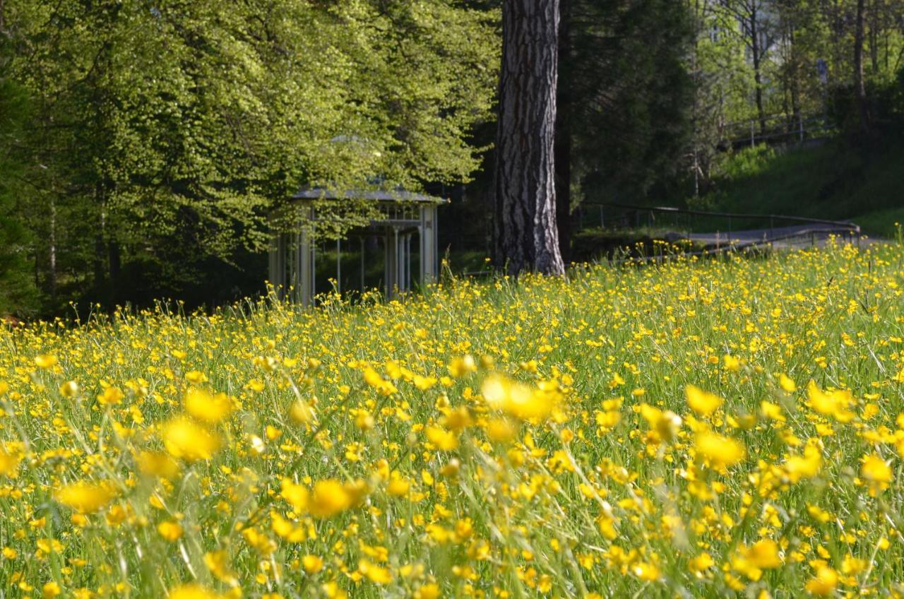 Ferienwohnung Wildbad Sued Bad Wildbad Zewnętrze zdjęcie